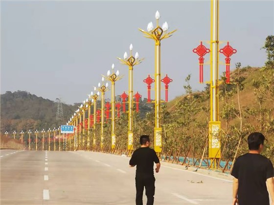 茂名高州永青大道景觀路燈照明工程案例
