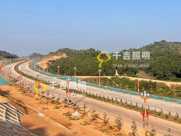 茂名高州永青大道景觀路燈照明工程案例